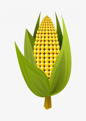 Korn Clipart Rice Corn - Corn