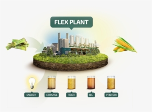 To Produced Oil And Corn Protein, Also Enabling The - Fluid Quip Process Technologies, Llc