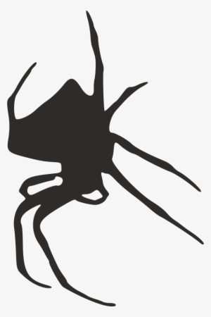 Color Spider Silhouette Png