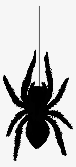 Spider Silhouette1353 Free Vintage Clip Art - Tarantula
