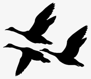 Tamzdezignsproduct Categories Archives Page 47 Of - Flying Ducks Silhouette Png