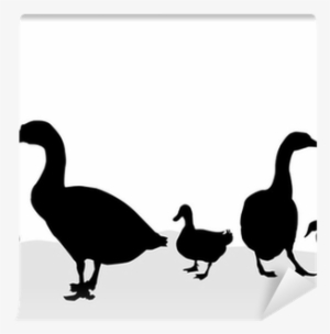 Goose & Duck Silhouettes - Duck