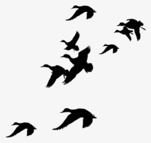 Hunting Clipart Waterfowl - Flying Ducks Silhouette Png