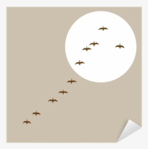 Flying Ducks Silhouette On Solar Background Sticker - Fugle I Flok Jørgen Jørgensen Bog
