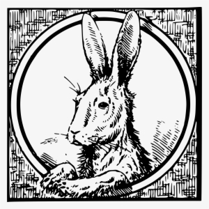 This Free Icons Png Design Of Framed Hare