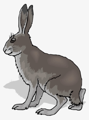 Hare Clipart Grassland Animal - Coney Animal