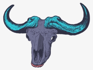 Photo - Bull