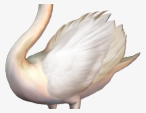 Free On Dumielauxepices Net Tundra - Whooper Swan Png