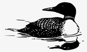 Common Loon Computer Icons Download Silhouette Art - Loon Clipart