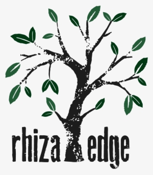 Rhiza Press