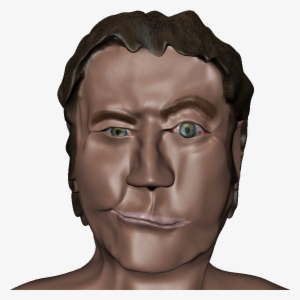 Here Is A Front View Of My Human Head Model That I - Illustration