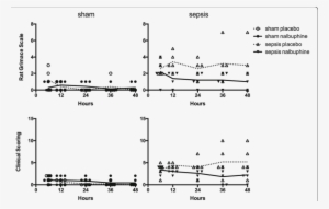 Rat Grimace Scale And Clinical Scoring Over Time - Septic Rats
