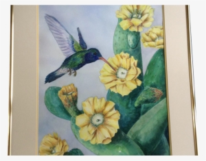 E S Jenkins, Hummingbird Drinking From A Yellow Cactus - Watercolor Painting