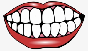 Variations - Clip Art Of Teeth