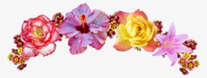 Transparent Rainbow Flower Crown - Corona De Flores Dibujo