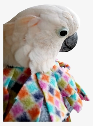 Unruffledrx Fleece Parrot Collar, Velcro Closure - Cockatiel Makeshift Tube Collar