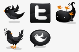 Search - Twitter Icon Black