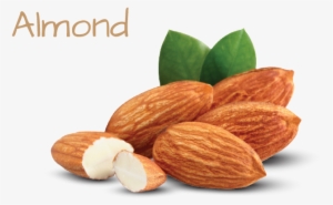 Ingredient Image Template 02 - Almond