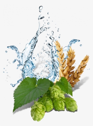 Ingredients - Illustration
