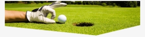 Contact Form - Twitter Backgrounds Golf