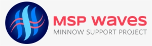 The Msp-waves Logo - Graphic Design