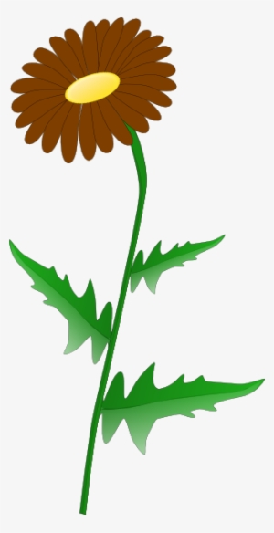 Download How To Set Use Brown Daisy Svg Vector Daisy Clip Art Transparent Png 306x596 Free Download On Nicepng
