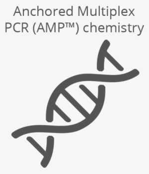 Anchored Multiplex Pcr Target Enrichment Chemistry - Dna Splicing Icon