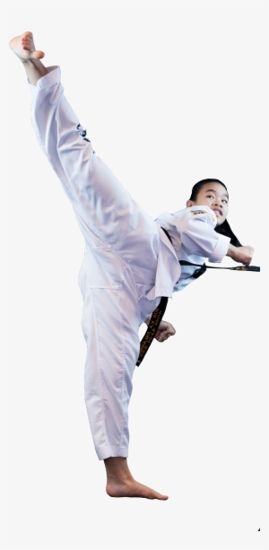 Programs - Taekwondo Kicks Png