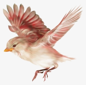 Aves Png - Drawing Birds