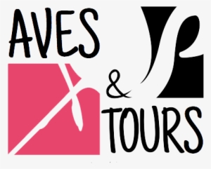 Aves And Tours - Bird