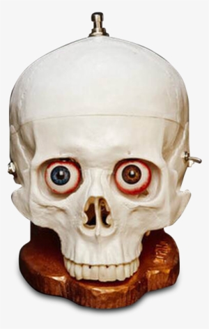 Skullfuzz $339 - Drno Effects