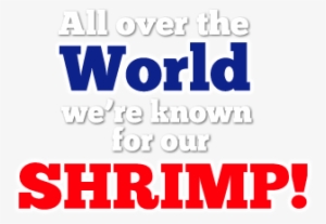Mama Blue's Southern Charmed Fried Shrimp - Fifa World Cup 2010 Banner