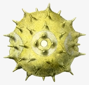 This Free Icons Png Design Of Pollen 4