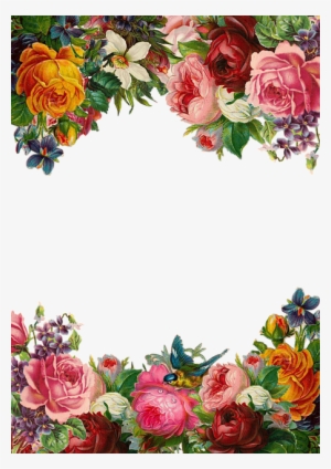 Flower, Rose, Frame, Collection, Vintage, Composition - Beautiful Flower Border