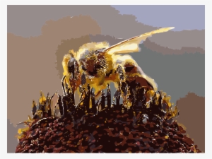 This Free Icons Png Design Of Bees Collecting Pollen