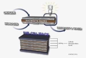 fuel cell stack - passive type fuel cell