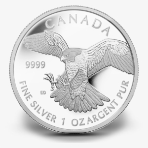 Peregrine Falcon Coin