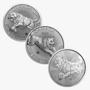 2018 Canadian Cougar, Lynx & Wolf 1oz Silver Coin Collection - リンクス (オオヤマネコ) 銀貨 1オンス クリアケース入り 2017年製 カナダ王室造幣局発行 31.1gの純銀