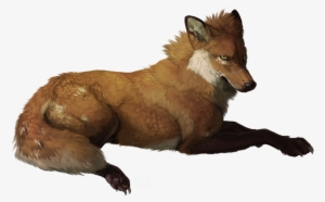 Wolf Derpygy - Red Fox Anime Fox
