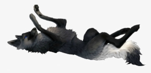 Click This For Wolf Pic Ignore If Not Werewolf Png - Black Fox With Blue Eyes