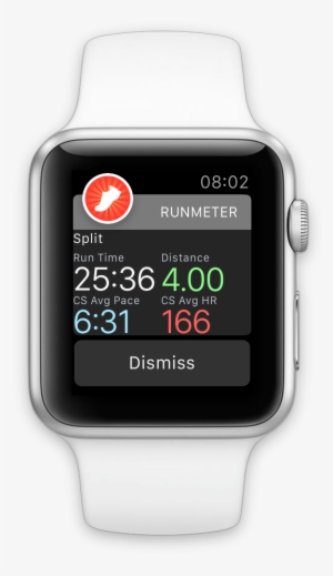 Stay Notified Of Your Progress - Apple 42mm Sport Band