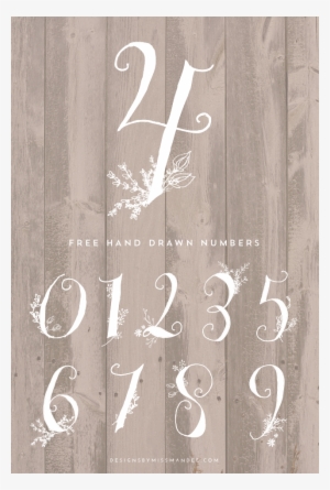 Stunning Hand Drawn Numbers