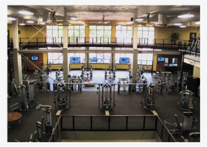 Gym/golds Gym Forest - Golds Gym Forest Acres