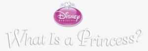 What Is A Princess - Disney Princess Room Decor Kit