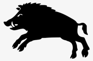 Boar Black And White - Chinese Zodiac Boar