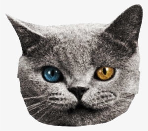 Transparent Odd Future - Odd Future Tron Cat Sticker