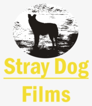 Stray Dog Films - Film