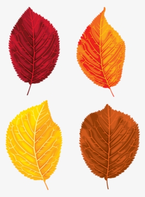 Fall Leaves Set Clipart Png Image - Clip Art
