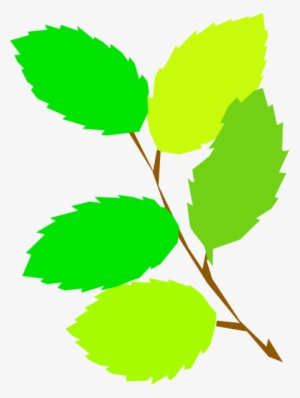 Branch And Leaves Clipart