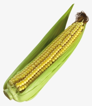 Corn Clipart Png Photos - Кукуруза На Прозрачном Фоне